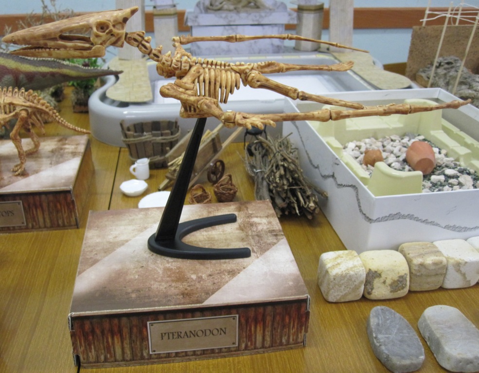 laboratorio-paleontologia-archeologia-don-bosco